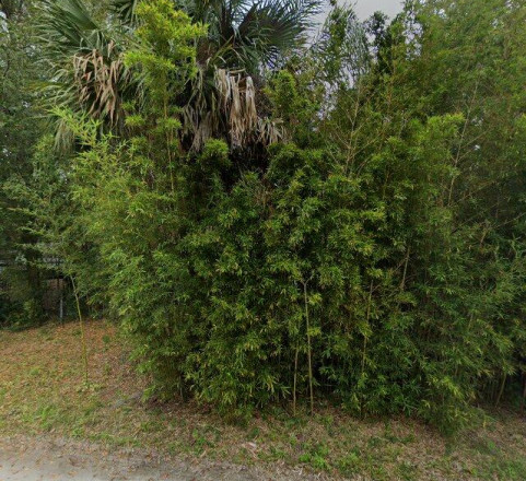 1930 Abacus Road, Holiday, FL 34690