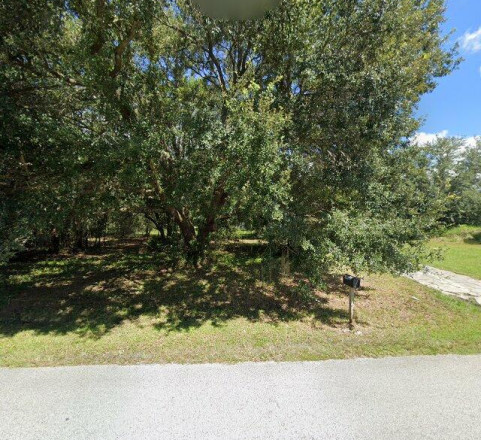 26835 Foamflower Blvd, Wesley Chapel, FL 33544