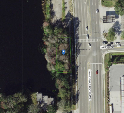 Land153984, Land O Lakes, FL 34639