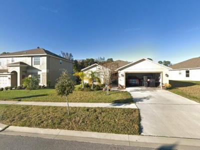 10099 Bankston, Hudson, FL 34667