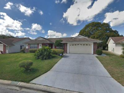 12107 Meadowbrook Lane, Hudson, FL 34667