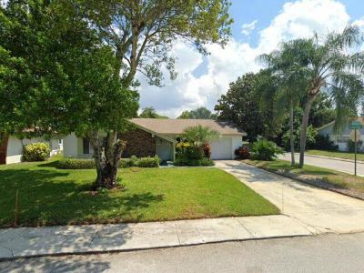 12310 Quail Run Row, Hudson, FL 34667