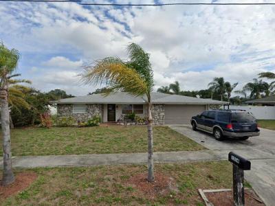 1314 Chancellor Drive, Holiday, FL 34690