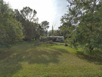 17336 Chinaberry Road, Lutz, FL 33558