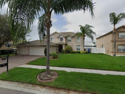 1802 Regal Mist Loop, New Port Richey, FL 34655