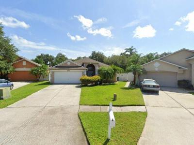 24839 Gun Smoke Drive, Land O Lakes, FL 34639