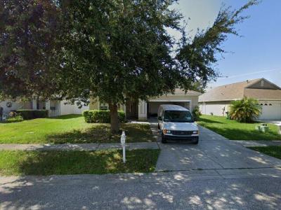 24904 Panacea Court, Lutz, FL 33559