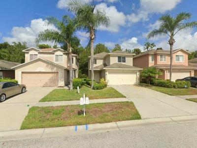 27209 La Jolla Way, Wesley Chapel, FL 33544