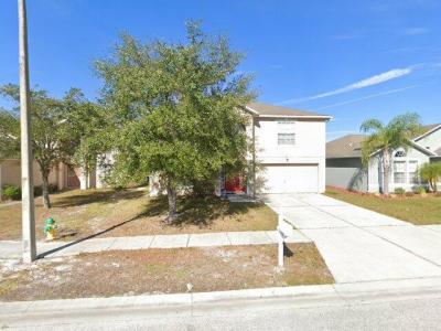 30253 Rattana Court, Wesley Chapel, FL 33545