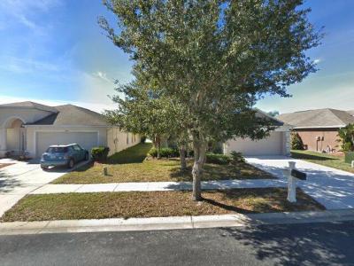 31248 Baclan Drive, Wesley Chapel, FL 33545