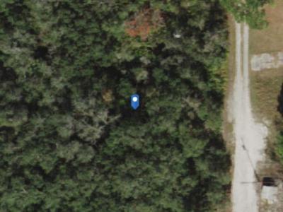 33696land, Hudson, FL 34667