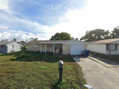 3548 Seffner Drive, Holiday, FL 34691