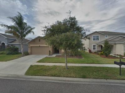 4170 Pacente Loop, Wesley Chapel, FL 33543