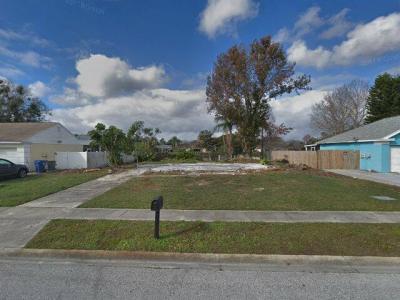 4353 County Breeze Drive, New Port Richey, FL 34653