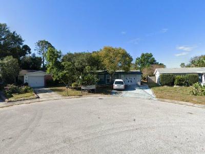 5140 Skyland Drive, Holiday, FL 34690