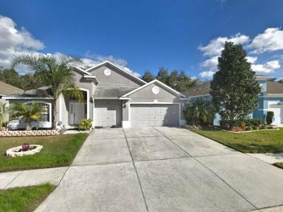 6830 Pine Springs Drive, Wesley Chapel, FL 33545