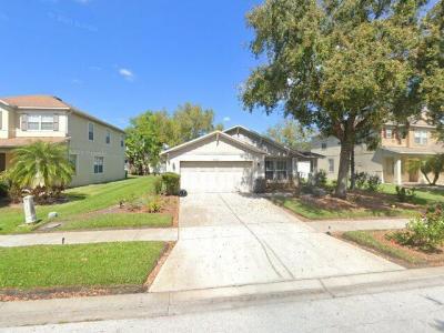 7201 Bridgeview Drive, Wesley Chapel, FL 33545