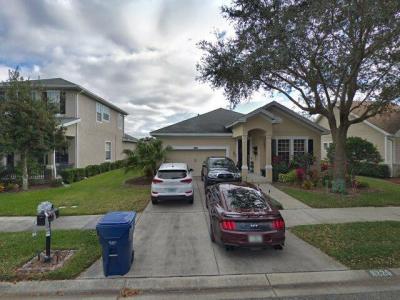 8220 Lagerfeld Drive, Land O Lakes, FL 34637