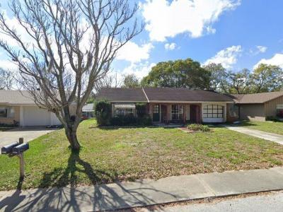 8304 Mill Creek Lane, Hudson, FL 34667