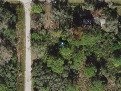 Land113680, New Port Richey, FL 34654