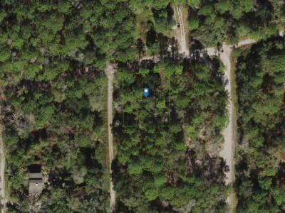 Land114459, New Port Richey, FL 34654