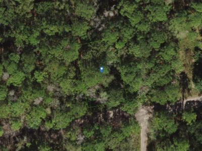 Land114461, New Port Richey, FL 34654