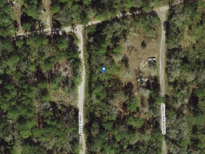 Land126304, New Port Richey, FL 34654