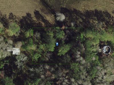 Land137744, Land O Lakes, FL 34638