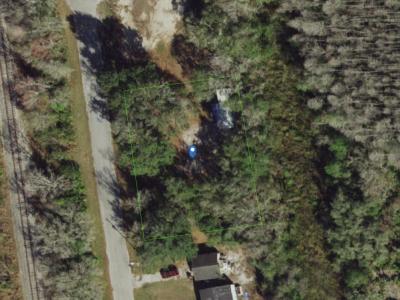 Land137745, Land O Lakes, FL 34638