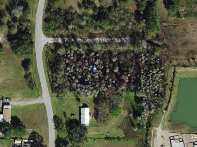 Land137749, Zephyrhills, FL 33543