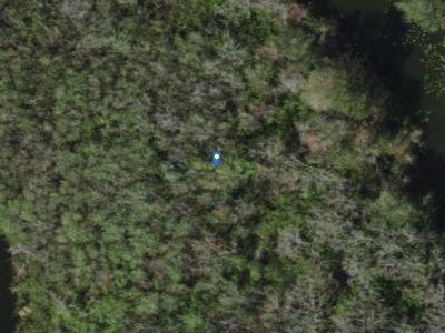 Land86348, Land O Lakes, FL 34639